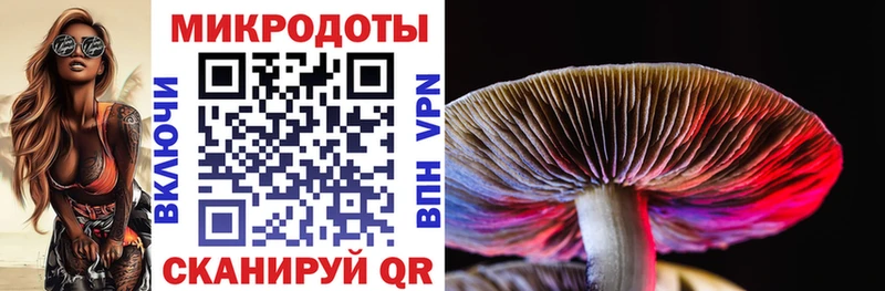 что такое наркотик  Азнакаево  Псилоцибиновые грибы ЛСД 